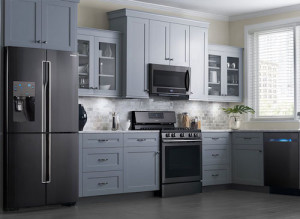 Appliance Trends