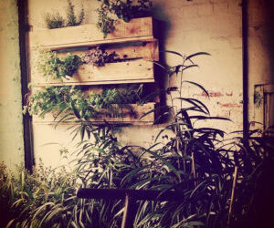 Pallet Made Vertical Herb Garden