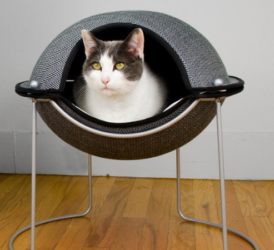 10 pieces of pet furniture that are actually stylish