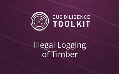Illegal Logging of Timber