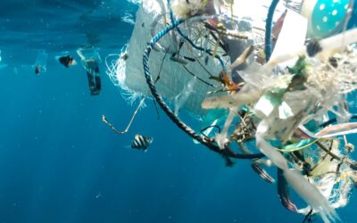 Global Plastic Treaty Negotiations: Key Insights for AFA and AFISC Members