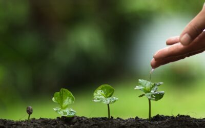 AFISC Launches Industry Advisory Group to Shape a Safer, More Circular Furnishing Sector