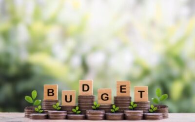 Industry support for AFA and AFISC’s Pre-Budget submission