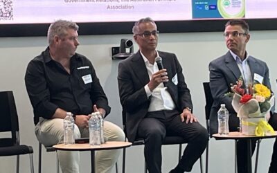 GPP Minisode: Current State of Play – Supply Chain. Import. Export. Competitors. Risks. Opportunities.