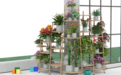 Monarda – Living Inspired by Flora