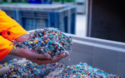 Shaping the Future of Sustainable Furniture and Fitouts